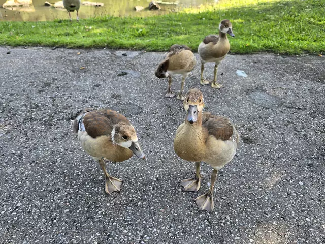 Foto: Heidrun Rosenberger