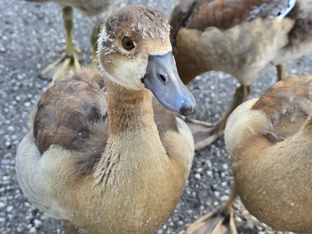 Foto: Heidrun Rosenberger