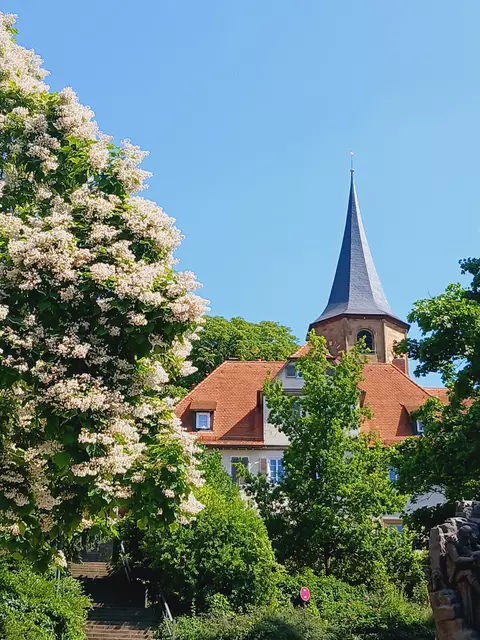 Foto: sigischlottke