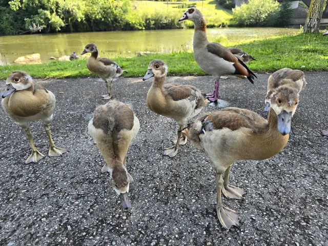 Foto: Heidrun Rosenberger