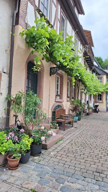 Ein Wohnhof im Gerberviertel | Foto: bekannt