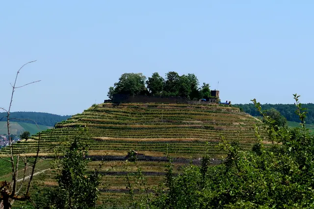 Blick auf die Weibertreu, vom Steinbruchweg aus. | Foto: Eduard Warenik