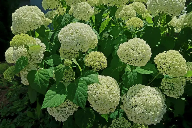 Am Steinbruchweg, in Weinsberg.  | Foto: Eduard Warenik