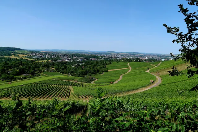 Ausblick  | Foto: Eduard Warenik