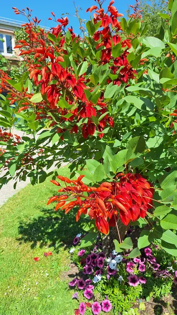Was sind das wohl für Blüten? | Foto: bekannt
