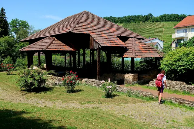 Foto: Eduard Warenik