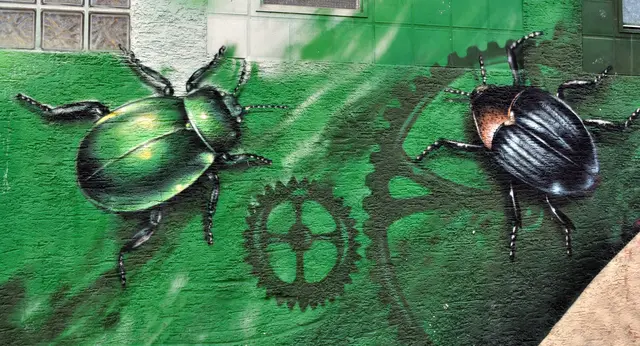 An einem Stromhäuschen in Heilbronn Böckingen Viehweide | Foto: Daniela Somers