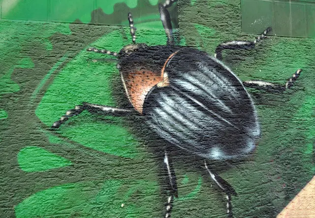 An einem Stromhäuschen in Heilbronn Böckingen Viehweide | Foto: Daniela Somers