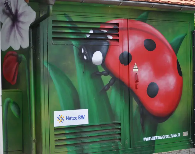 Dieser Käfer habe ich in Eppingen gesehen. | Foto: Daniela Somers