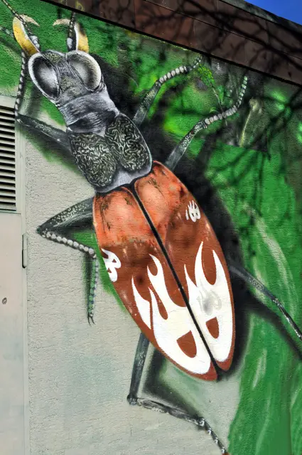 An einem Stromhäuschen in Heilbronn Böckingen Viehweide | Foto: Daniela Somers