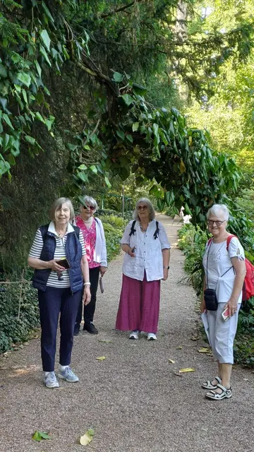 Ein Efeubogen über den Weg im Hermannshof. | Foto: bekannt