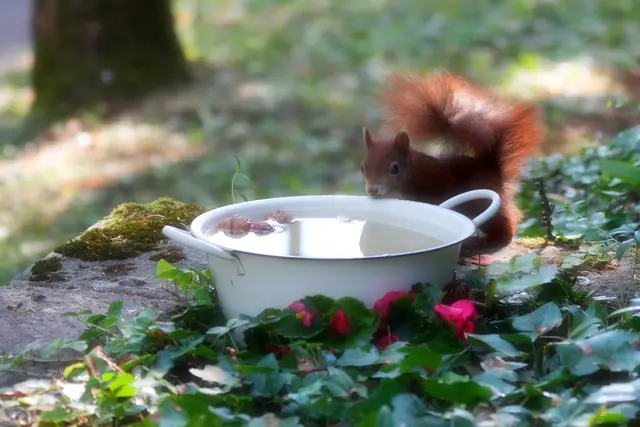 Ein kritischer Blick... | Foto: Moni Bordt