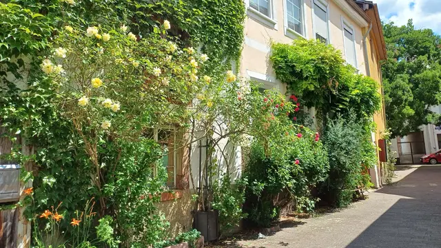 Herrliche Blumenpracht kann man auch nur wenig Platz vor den Häusern unterbringen! | Foto: Foto privat