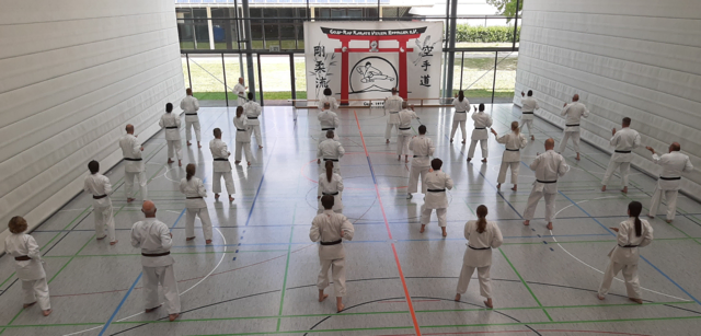 Christian Schollenberger unterrichtet die Kata Tensho mit Bunkai | Foto: Karateverein Eppingen