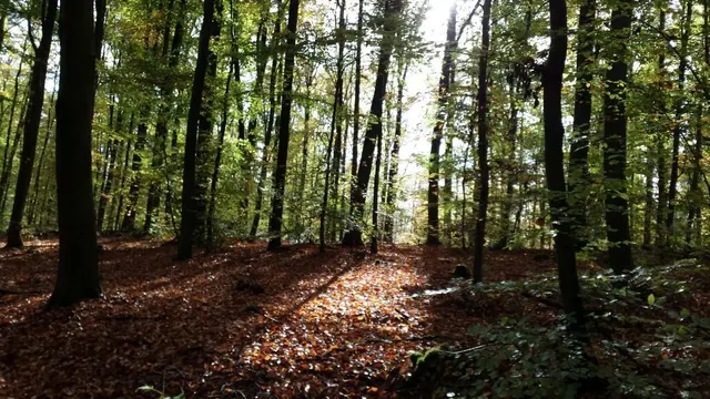 Foto: J.Betz