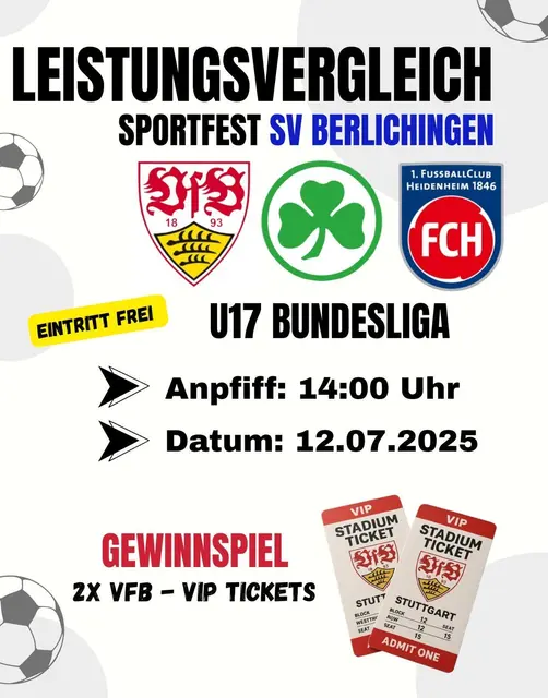 Leistungsvergleich U17 Bundesliga | Foto: SV Berlichingen