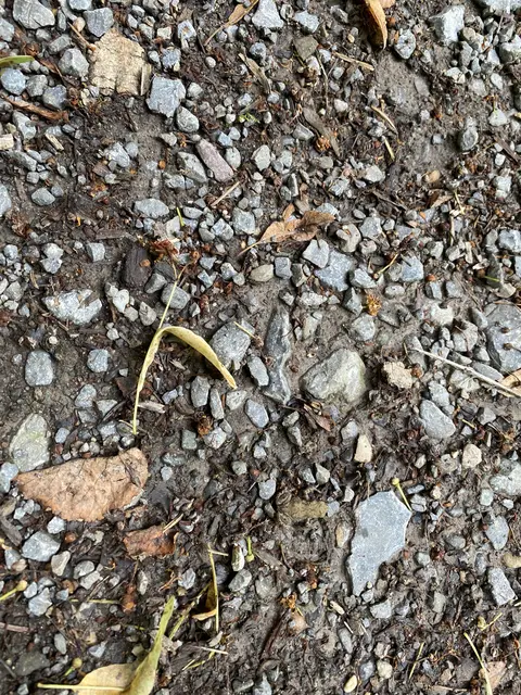 Foto: Heide Böllinger aus Bad Friedrichshall