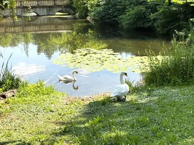 Foto: Heide Böllinger aus Bad Friedrichshall