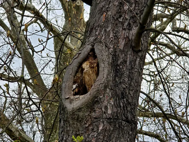 Foto: Heidrun Rosenberger