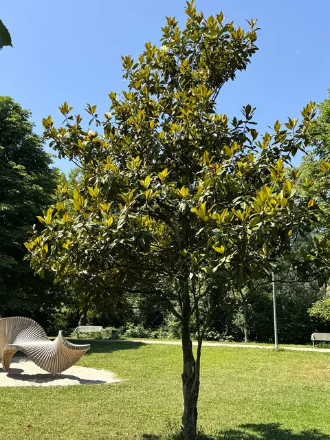 Foto: Heide Böllinger aus Bad Friedrichshall