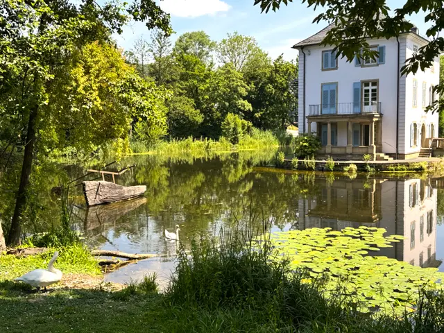 Foto: Heide Böllinger aus Bad Friedrichshall