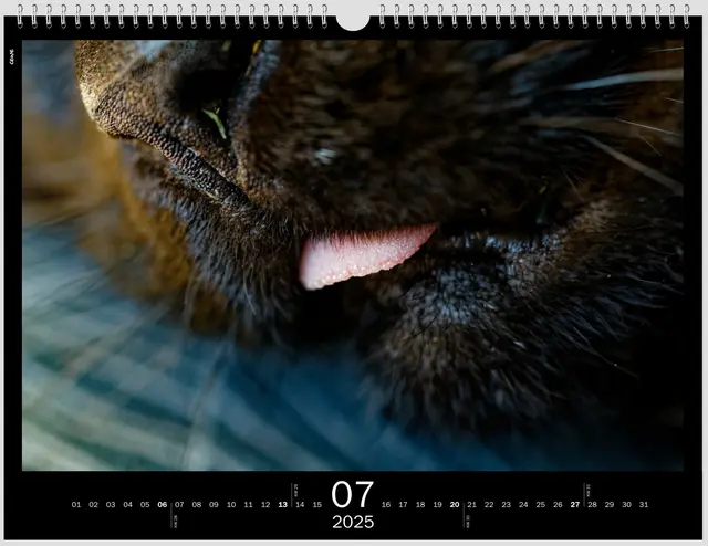 Im Schlaf | Foto: WKY