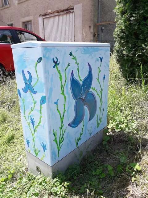 Foto: Bilder von M. Münch