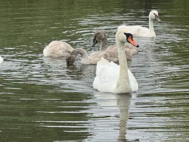 Foto: Heide Böllinger aus Bad Friedrichshall