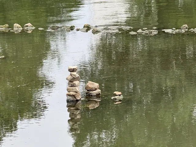 Foto: Heide Böllinger aus Bad Friedrichshall