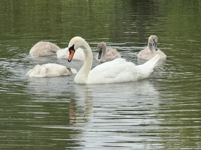 Foto: Heide Böllinger aus Bad Friedrichshall