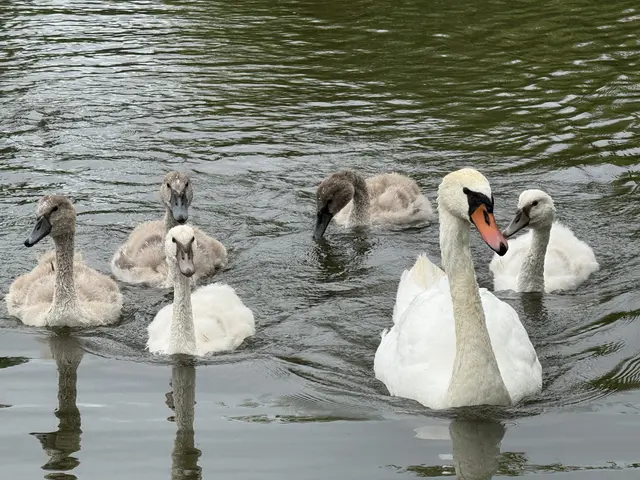 Foto: Heide Böllinger aus Bad Friedrichshall