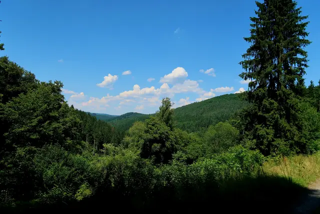 Foto: Eduard Warenik