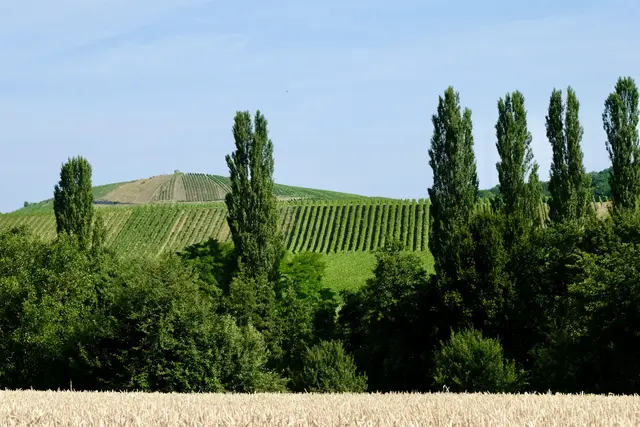 Blick auf den Staufenberg | Foto: ED