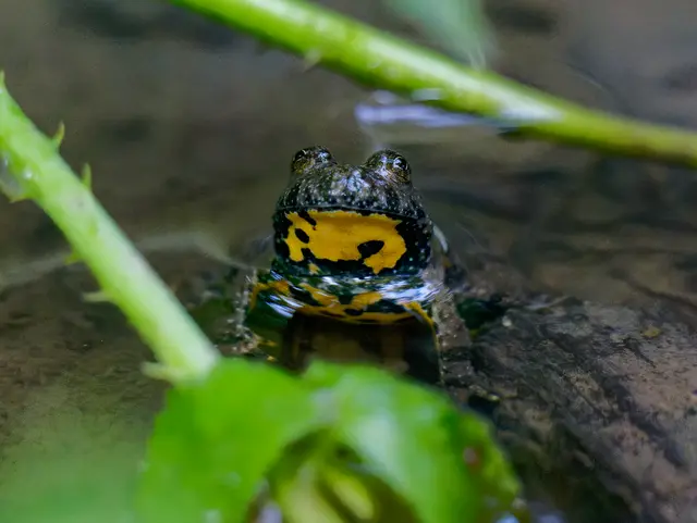 Foto: Eigenes Bild TB