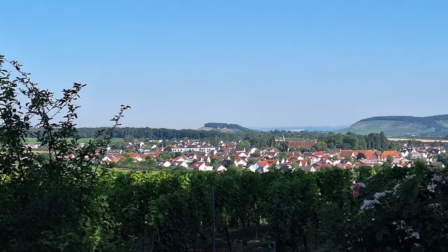 Blick über Lehrensteinsfeld bis zur Weibertreu  | Foto: Monika Breusch