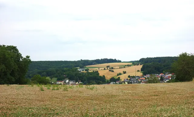 Blick zurück nach Allfeld. | Foto: Isolde Reitz