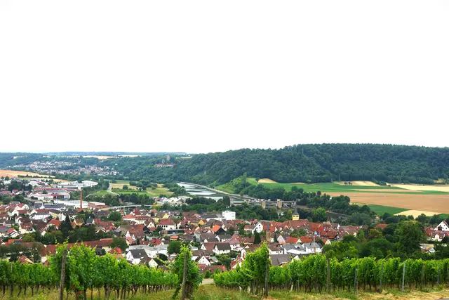 Blick auf Gundelsheim, Heinsheim mit Burg Ehrenberg, im Hintergrund ist noch der Stromberg zu sehen. | Foto: Isolde Reitz