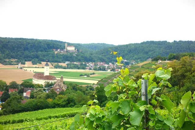 Schöner Blick zum Schloß Horneck, Burg Guttenberg und rechts der Michaelsberg. | Foto: Isolde Reitz