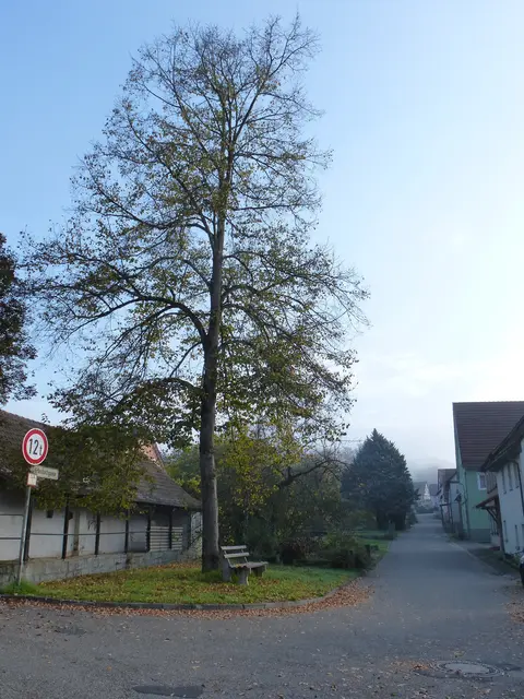 Foto: Eigene Aufnahme