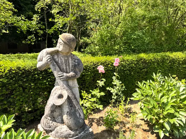 Foto: Heide Böllinger aus Bad Friedrichshall