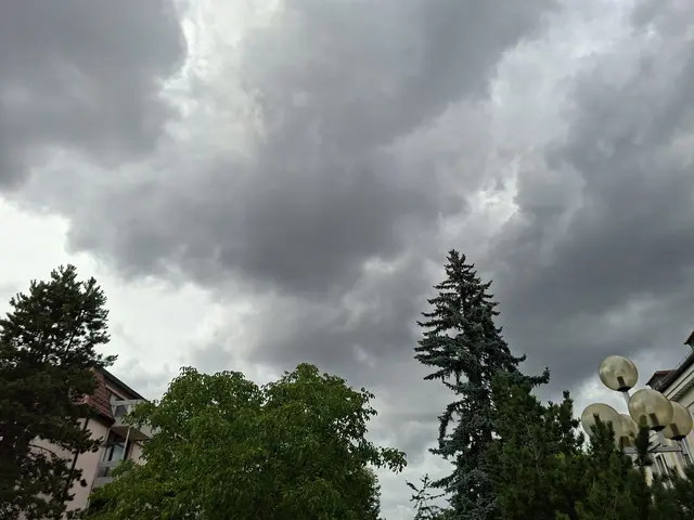 Bad Rappenau- bissle unterwegs💮🌤️🌺🌻💧 | Foto: Ralf Röser
