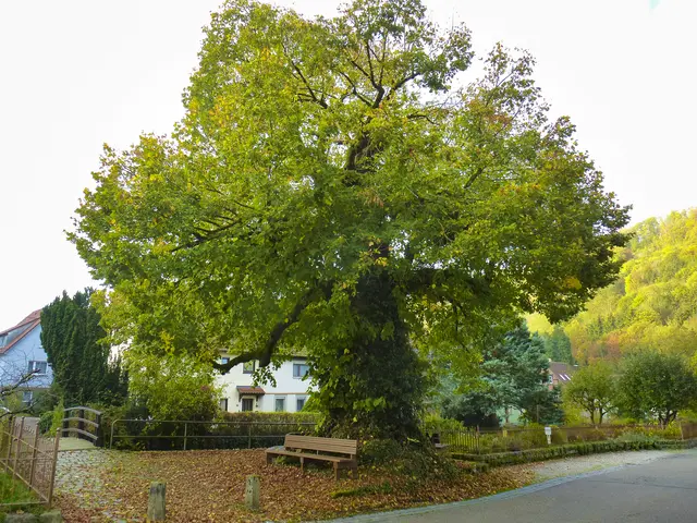 Foto: Eigene Aufnahme