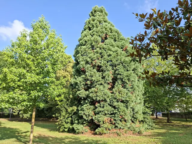 Bad Rappenau- Wasserschloss- Park | Foto: Ralf Röser