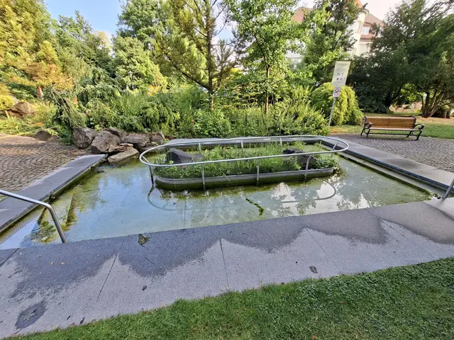 Bad Rappenau- Wasserschloss- Park | Foto: Ralf Röser