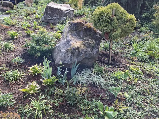 Bad Rappenau- Wasserschloss- Park | Foto: Ralf Röser