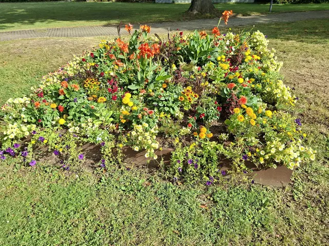 Bad Rappenau- Wasserschloss- Park | Foto: Ralf Röser