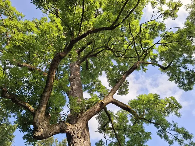 Bad Rappenau- Wasserschloss- Park | Foto: Ralf Röser