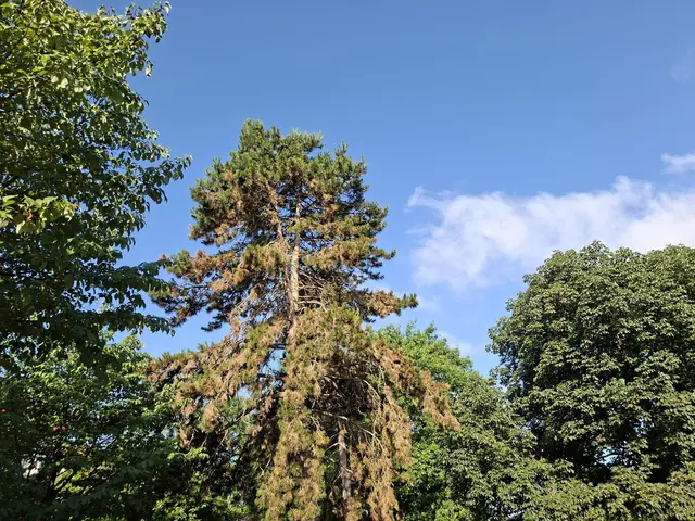 Bad Rappenau auf dem Weg zum Wasserschloss | Foto: Ralf Röser