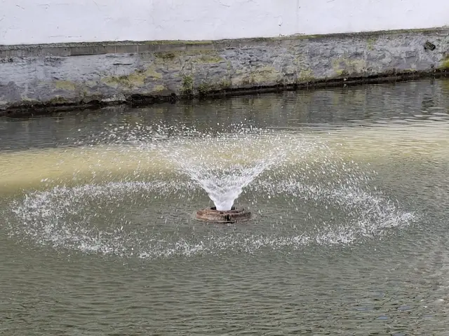 Bad Rappenau- Wasserschloss- Park | Foto: Ralf Röser