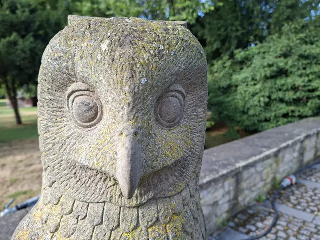 Bad Rappenau- Wasserschloss- Park | Foto: Ralf Röser